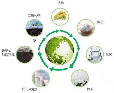 中國首家！生物基膜材BOPLA在廈量產，引領綠色包裝新浪潮