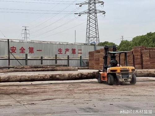 木頭云合作加工廠 共筑綠色未來(lái)，引領(lǐng)環(huán)保材料研發(fā)新篇章